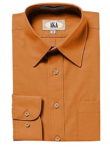 Rust Classic Fit Solid Long Sleeve Dress Shirt