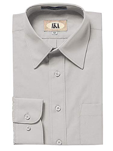 Silver Grey Classic Fit Solid Long Sleeve Dress Shirt