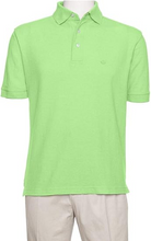 Load image into Gallery viewer, AKA Men&#39;s Solid Polo Shirt Classic Fit - Pique Chambray Collar Comfortable Quality - Spring Green

